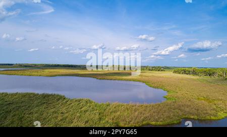 Vue aérienne du paysage typique du Pantanal avec lagune, prairies, forêt et ciel bleu, zones humides du Pantanal, Mato Grosso, Brésil Banque D'Images