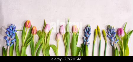 Arrangement avec fleurs de printemps colorées Banque D'Images