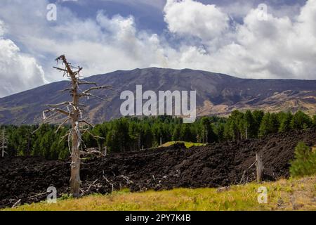 Paysage volcanique de l'Etna et sa végétation typique, la Sicile Banque D'Images
