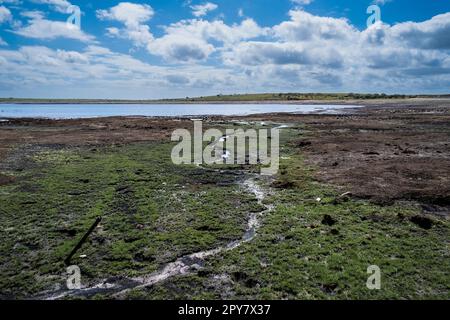 Le lit de lac boueux exposé par de graves conditions de sécheresse au réservoir de Colliford Lake sur Bodmin Moor, à Cornwall, au Royaume-Uni. Banque D'Images