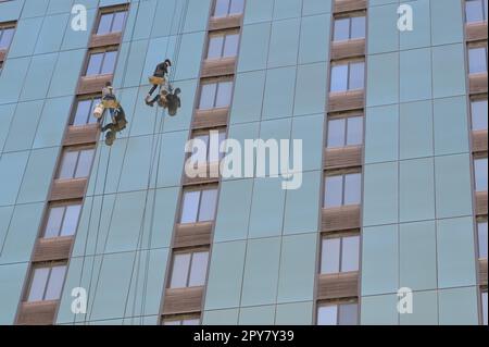 Nettoyeurs de fenêtres nettoyer les fenêtres de la chambre à coucher en haut d'un hôtel à Las Vegas. Banque D'Images