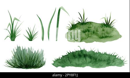 Ensemble d'illustrations d'herbe vert aquarelle isolé sur blanc. Ensemble de croquis de pelouse. Collection abstraite d'herbes épaisses juteuses Banque D'Images