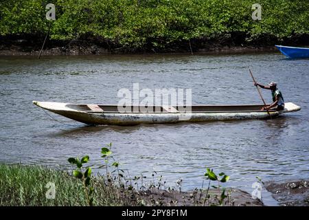 Aratuipe, Bahia, Brésil - 31 août 2018 : un pêcheur pagayant son canoë sur le lit de la rivière Jaguaripe dans la ville d'Aratuipe, Bahia. Banque D'Images