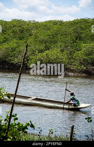 Aratuipe, Bahia, Brésil - 31 août 2018 : un pêcheur pagayant son canoë sur le lit de la rivière Jaguaripe dans la ville d'Aratuipe, Bahia. Banque D'Images