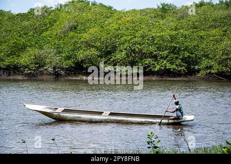 Aratuipe, Bahia, Brésil - 31 août 2018 : un pêcheur pagayant son canoë sur le lit de la rivière Jaguaripe dans la ville d'Aratuipe, Bahia. Banque D'Images