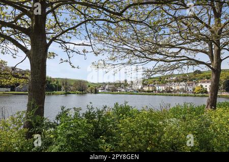 Village de Millbrook et lac avec arbres de premier plan encadrant l'image, sud-est de Cornwall Banque D'Images