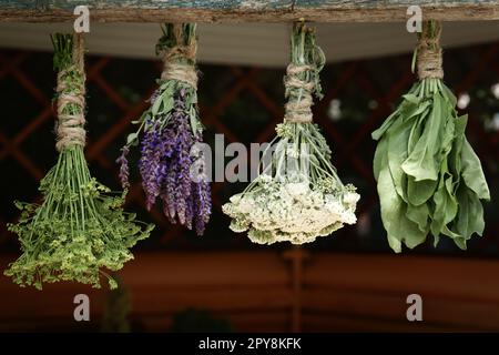 Des lapins de différentes belles fleurs séchées accrochées sur bâton de bois à l'intérieur Banque D'Images