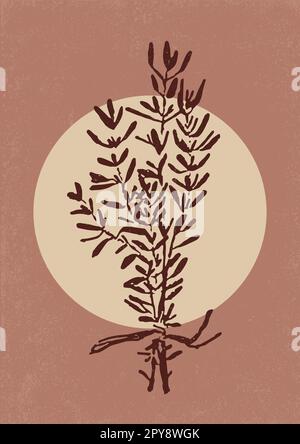 Illustration de l'affiche représentant un bouquet de romarin dessiné à la main. Herbes de cuisine et épices. Illustration de Vecteur