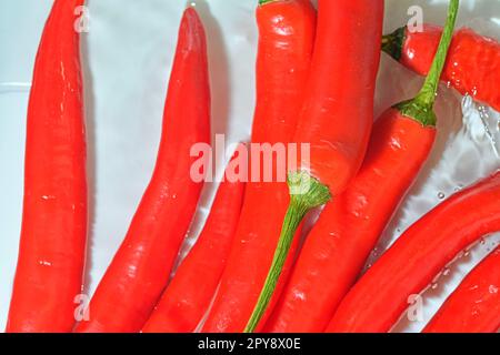 Gros plan de piments rouges chauds sur fond blanc. Piments rouges chauds dans l'eau pétillante sur fond blanc, gros plan. Éclaboussures de piments rouges. Image horizontale Banque D'Images