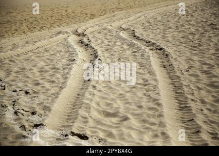 Les traces de pneus sur la plage Banque D'Images