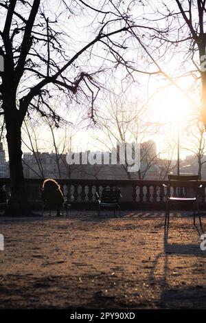 Photo of someone sitting in the Tuileries Garden enjoying the sun Banque D'Images