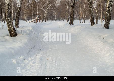 Allée d'hiver dans le parc, avec des arbres sur le côté et des amoncellements de neige Banque D'Images