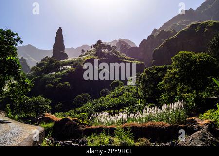 Cabo Verde, Santo Antao - vallée de XOXO Banque D'Images