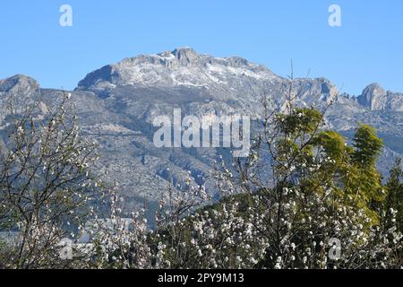 Neige très rare dans les montagnes de Guadalest, province d'Alicante, Costa Blanca, Espagne Banque D'Images