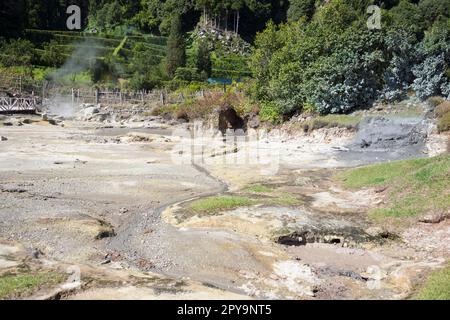 Caldeiras au lac de Furnas, sources de vapeur, Lagoa das, Furnas, Sao Miguel, Açores, Portugal Banque D'Images