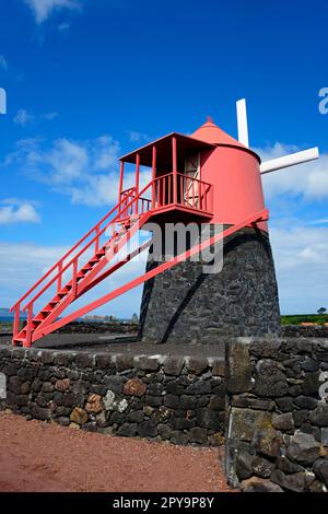 Moulin, zone de culture, patrimoine mondial de l'UNESCO, Moinho do Frade, région viticole du Verdelho, Pico, Açores, Portugal Banque D'Images