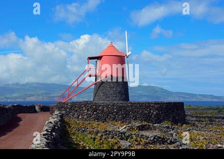 Moulin, zone de culture, patrimoine mondial de l'UNESCO, Moinho do Frade, région viticole du Verdelho, Pico, Açores, Portugal Banque D'Images