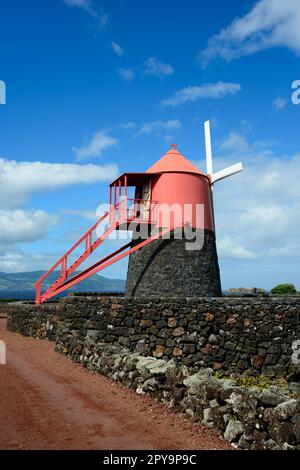 Moulin, zone de culture, patrimoine mondial de l'UNESCO, Moinho do Frade, région viticole du Verdelho, Pico, Açores, Portugal Banque D'Images