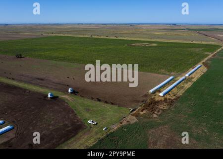 Production agricole dans la campagne Argentine, province de la Pampa, Patagonie, Argentine. Banque D'Images