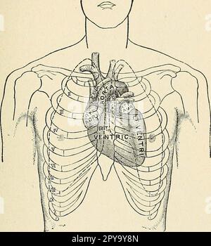 'Un livre de texte de premiers soins et de traitement d'urgence' (1917) Banque D'Images