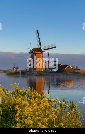 Moulins à vent traditionnels néerlandais à Kinderdijk - site de l'UNESCO, pays-Bas Banque D'Images