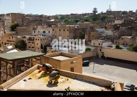 Fès, Maroc 2022: Vue unique de l'ancienne et célèbre tannerie Chouara dans la médina, avec peinture de couleur pour le cuir, avec des hommes travaillant dans les réservoirs d'eau Banque D'Images