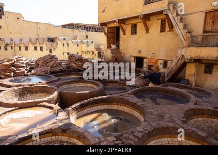 Fès, Maroc 2022: Vue unique de l'ancienne et célèbre tannerie Chouara dans la médina, avec peinture de couleur pour le cuir, avec des hommes travaillant dans les réservoirs d'eau Banque D'Images