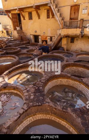 Fès, Maroc 2022: Vue unique de l'ancienne et célèbre tannerie Chouara dans la médina, avec peinture de couleur pour le cuir, avec des hommes travaillant dans les réservoirs d'eau Banque D'Images