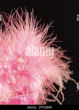 Peluche rose délicate sur fond noir. Vraie fourrure avec une longue pile. Gros plan. Boa ou brosse cosmétique. Détails gracieux. Flou artistique. Image floue Banque D'Images