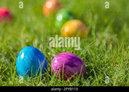 Œufs de Pâques colorés peints décorés dans de l'herbe verte fraîche avec espace de copie, concept printemps Happy Easter. Belle nature pré vacances, Pâques, fond de chasse aux œufs Banque D'Images