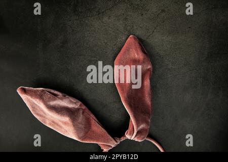 Blanc moelleux lapin oreilles roses isolées sur fond noir de béton. Concept de pâques créatif. Concept minimal vue de dessus, concept Happy Easter Banque D'Images