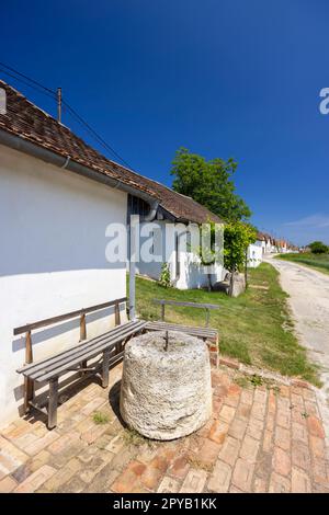 Cave à vin traditionnelle rue (Kellergasse) à Diepolz près de Mailberg, Basse-Autriche, Autriche Banque D'Images