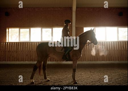 Femme à cheval dans un enclos stable, formation d'étalon dans un club d'équitation Banque D'Images