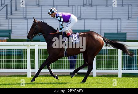 El Habeeb, monté par Andrea Atzeni, va poster devant les piquets de Sagaro de Longines à l'hippodrome d'Ascot, dans le Berkshire. Date de la photo: Mercredi 3 mai 2023. Banque D'Images