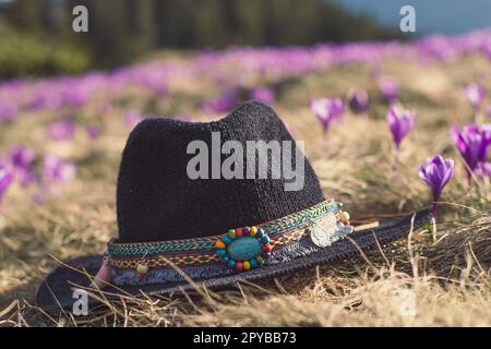 Gros plan chapeau fedora en tricot sur les fleurs tôt herbe herbe pré concept photo Banque D'Images