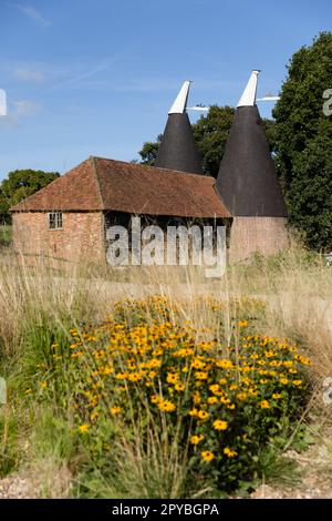 Vignoble de Tillingham le 6th octobre 2022 à Rye, dans l'est du Sussex, en Angleterre. Crédit : nouvelles SMP Banque D'Images