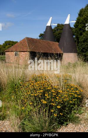 Vignoble de Tillingham le 6th octobre 2022 à Rye, dans l'est du Sussex, en Angleterre. Crédit : nouvelles SMP Banque D'Images