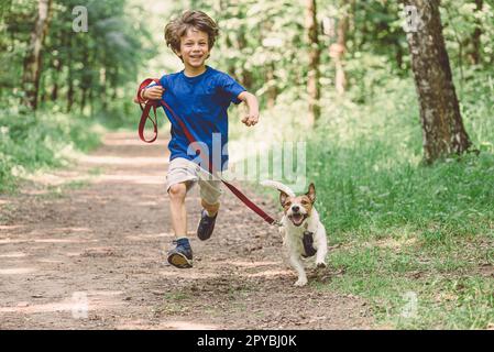 Joyeux garçon qui court avec un chien en laisse dans une allée du parc le jour de l'été Banque D'Images