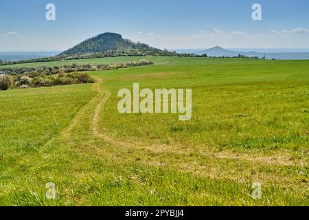 Pâturages en nature pittoresque avec vue sur les montagnes de la Bohème centrale (České Středohoří) de Radobyl et du château de Hazmburk. Banque D'Images