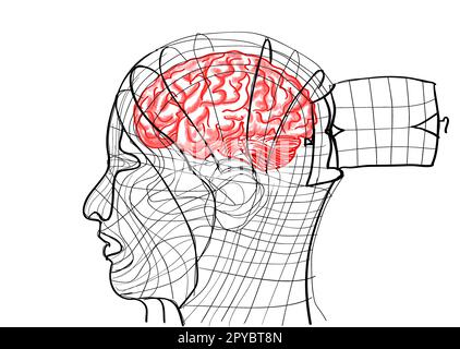 Cerveau à l'intérieur d'une cage à oiseaux en forme de tête Banque D'Images