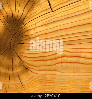 Texture réaliste du plus grand arbre vert du monde, fabriqué aux États-Unis - Vector Banque D'Images