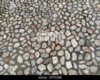 Pavés faits de pierres légères rondes semblables au marbre. Place pavée dans la vieille ville de Sarajevo, Bosnie-Herzégovine. Belles pierres brillantes humides après la pluie. Gros plan à la lumière du jour Banque D'Images