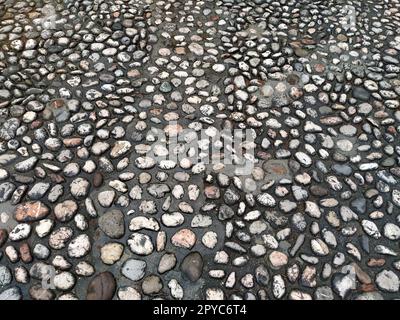 Pavés faits de pierres légères rondes semblables au marbre. Place pavée dans la vieille ville de Sarajevo, Bosnie-Herzégovine. Belles pierres brillantes humides après la pluie. Gros plan à la lumière du jour Banque D'Images