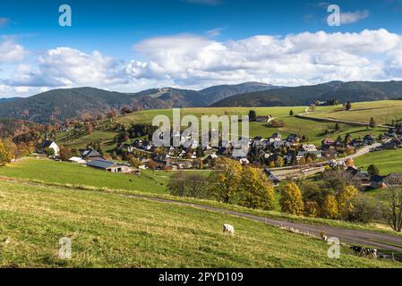 Vue sur le village Hofsgrund au Schauinsland près de Fribourg im Breisgau, Oberried, Forêt Noire, Baden-Wuerttemberg, Allemagne Banque D'Images