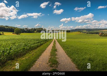 Paysage rural en été avec route et champs de terre, ciel bleu avec nuages blancs, canton de Thurgau, Suisse Banque D'Images