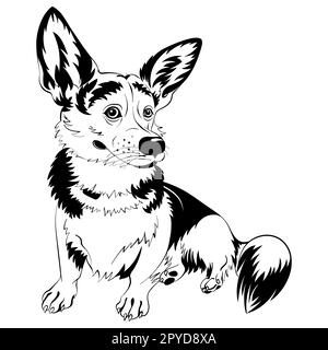 Dessin noir et blanc du chien Welsh Corgi race assis et souriant Banque D'Images