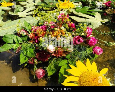 Tournesol décoratif jaune, roses roses roses et rouges dans un bouquet flottant dans l'eau d'un étang. Des bourgeons bien cuechés comme décoration pour des vacances d'été. Ivan Kupala, solstice d'été. Fête de la moisson. Banque D'Images