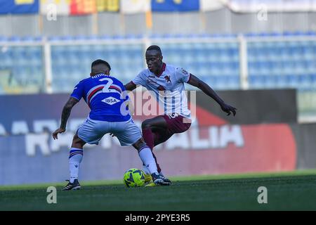 Genova, Italie. 03rd mai 2023. Stade Luigi Ferraris, Gênes, Italie, 03 mai 2023, Bruno Amione (Sampdoria) - Demba Seck (Turin) pendant UC Sampdoria vs Torino FC - football italien série A Match Credit: Live Media Publishing Group/Alay Live News Banque D'Images