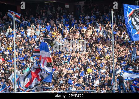 Genova, Italie. 03rd mai 2023. Stade Luigi Ferraris, Gênes, Italie, 03 mai 2023, Sampdoria de supporter pendant UC Sampdoria vs Torino FC - football italien série A Match Credit: Live Media Publishing Group/Alay Live News Banque D'Images