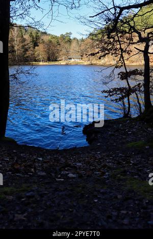 Erlenbach, Allemagne - 1 mars 2021: Kiosque sur l'eau au lac de baignade de Seehof lors d'une journée d'hiver ensoleillée près d'Erlenbach, Allemagne. Banque D'Images